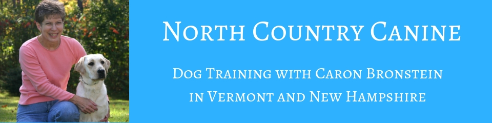 North Country Canine